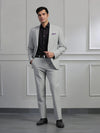 Light Grey Solid Formal Suit