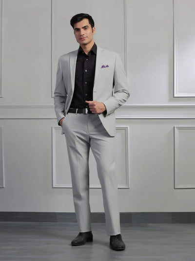Light Grey Solid Formal Suit
