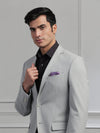 Light Grey Solid Formal Suit