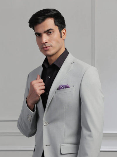 Light Grey Solid Formal Suit