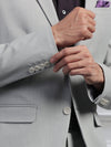 Light Grey Solid Formal Suit